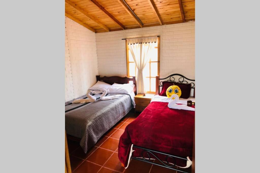 Cabana Buenavista Es Un Lugar Para Descansar. Иза Екстериор снимка