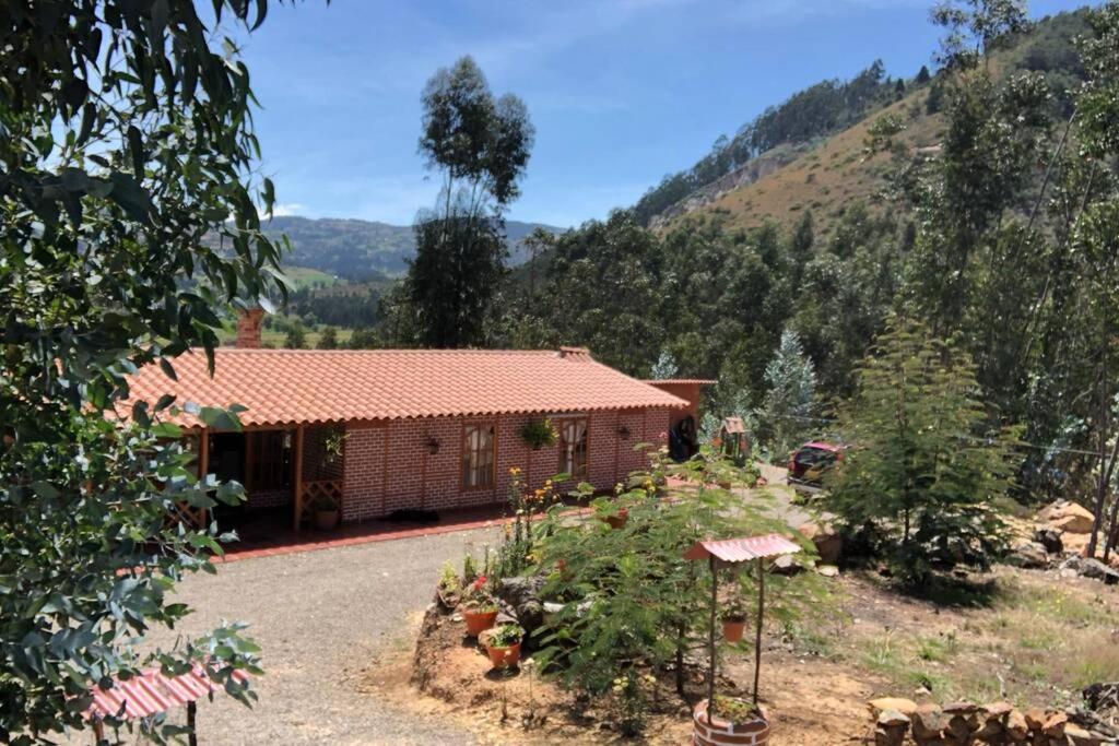 Cabana Buenavista Es Un Lugar Para Descansar. Иза Екстериор снимка
